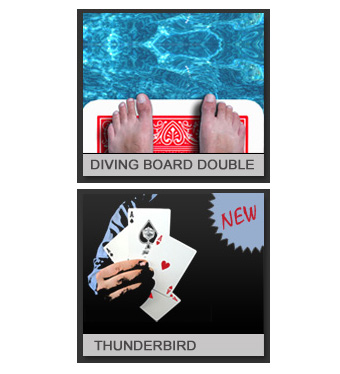 Purchase both of Lee Asher's PDFs the Diving Board Double and the Thunderbird.