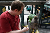 Feeding time at Batu Caves (KL)